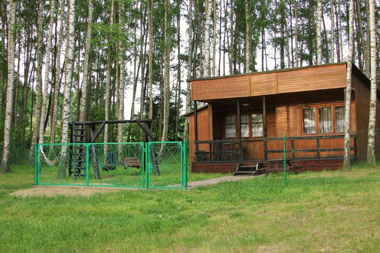 W Borkowie Borkowo (Kartuzy)